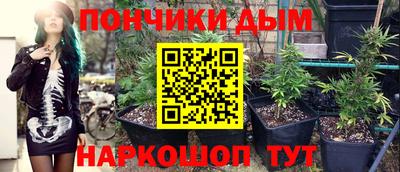спайс Будённовск