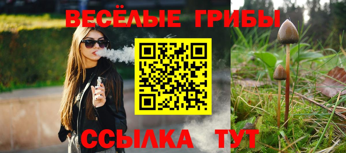 Туймазы  Галлюциногенные грибы Magic Shrooms  Вход с VPN 